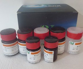 蘇木素-伊紅染色液(H-E)的主要檢驗原理