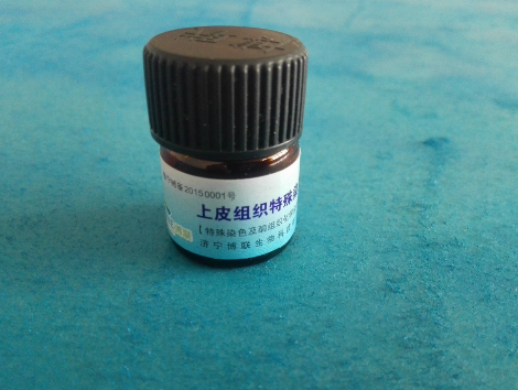 上皮組織特殊染色液 上皮組織特殊染色液