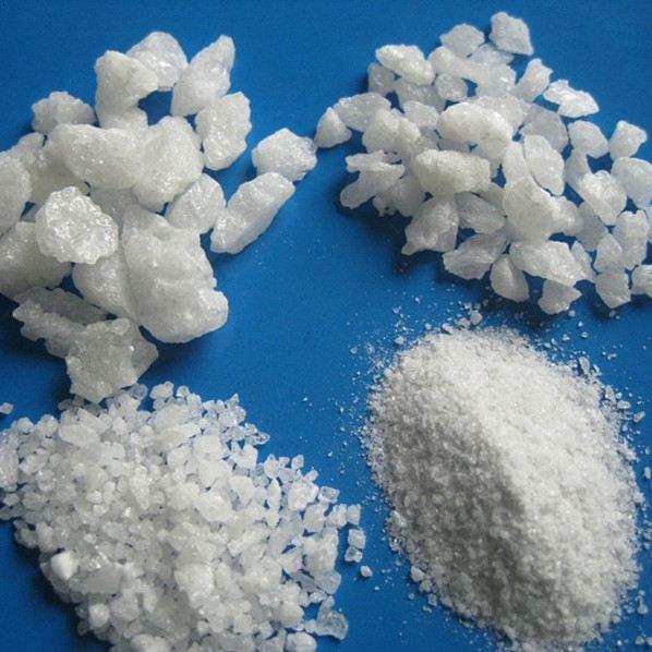 【為什么要進(jìn)行包埋？】包埋需要注意的關(guān)鍵點(diǎn)！