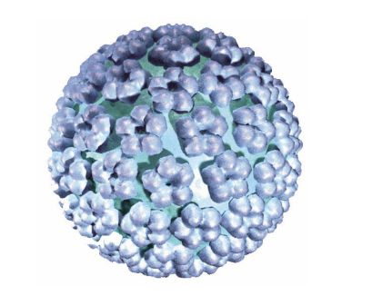 「HPV保存液」HPV的診斷主要是靠監測宮頸上皮組織內的HPV DNA